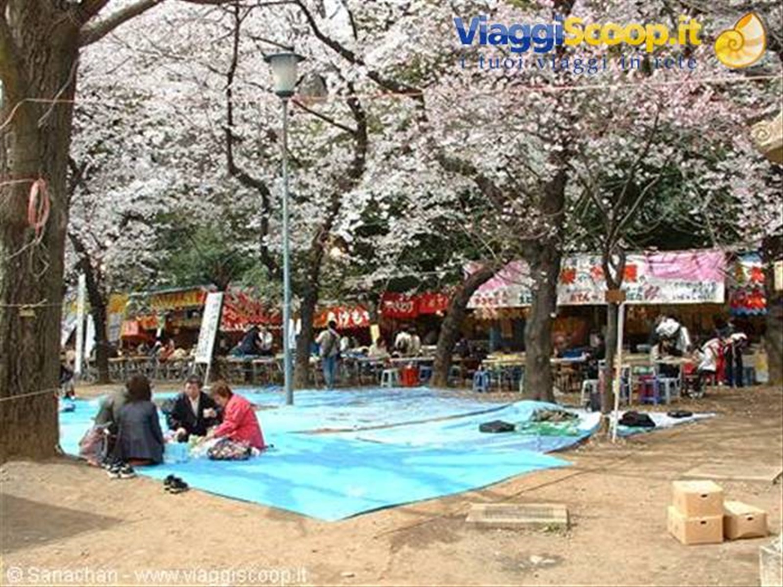 picnic a ueno