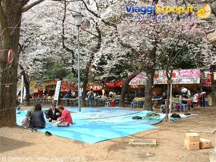 picnic a ueno 