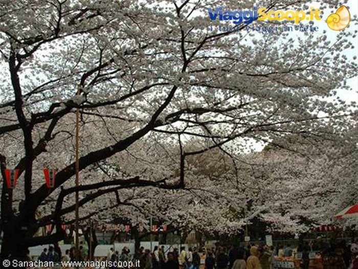 ueno