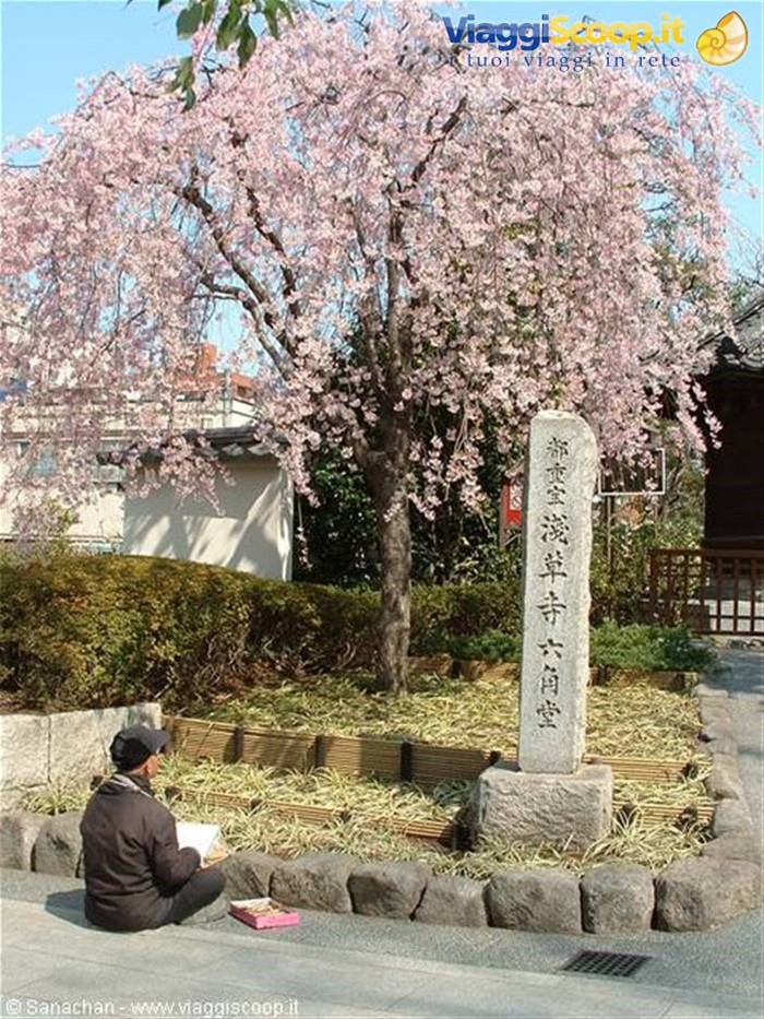 asakusa