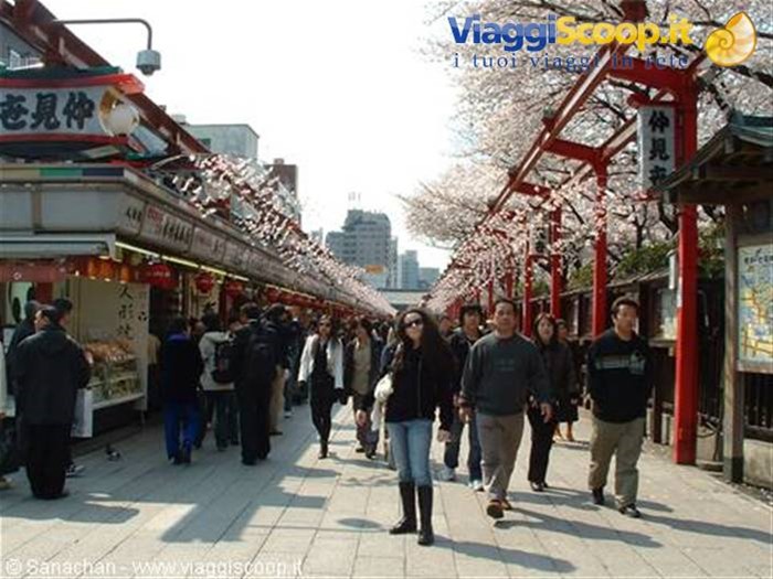 quanto shopping!!!