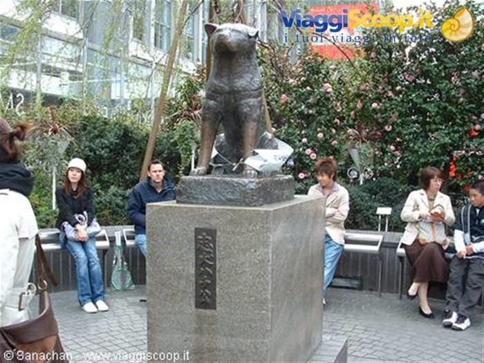 Il cane Hachiko a Shibuya