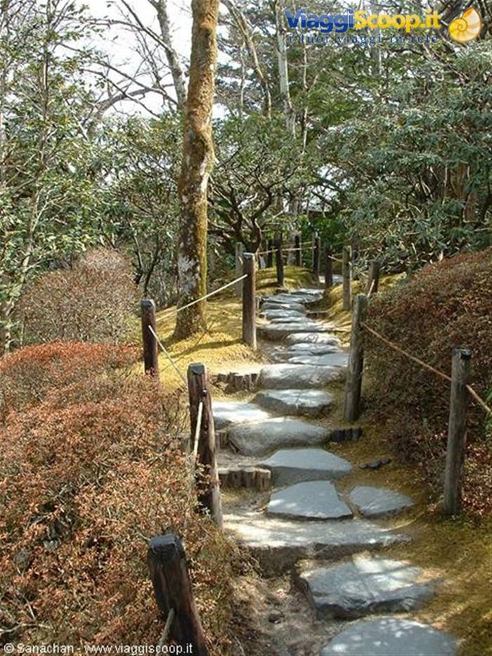 nikko