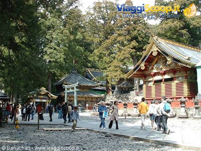 nikko