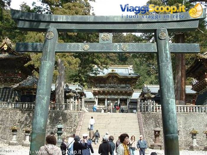 nikko