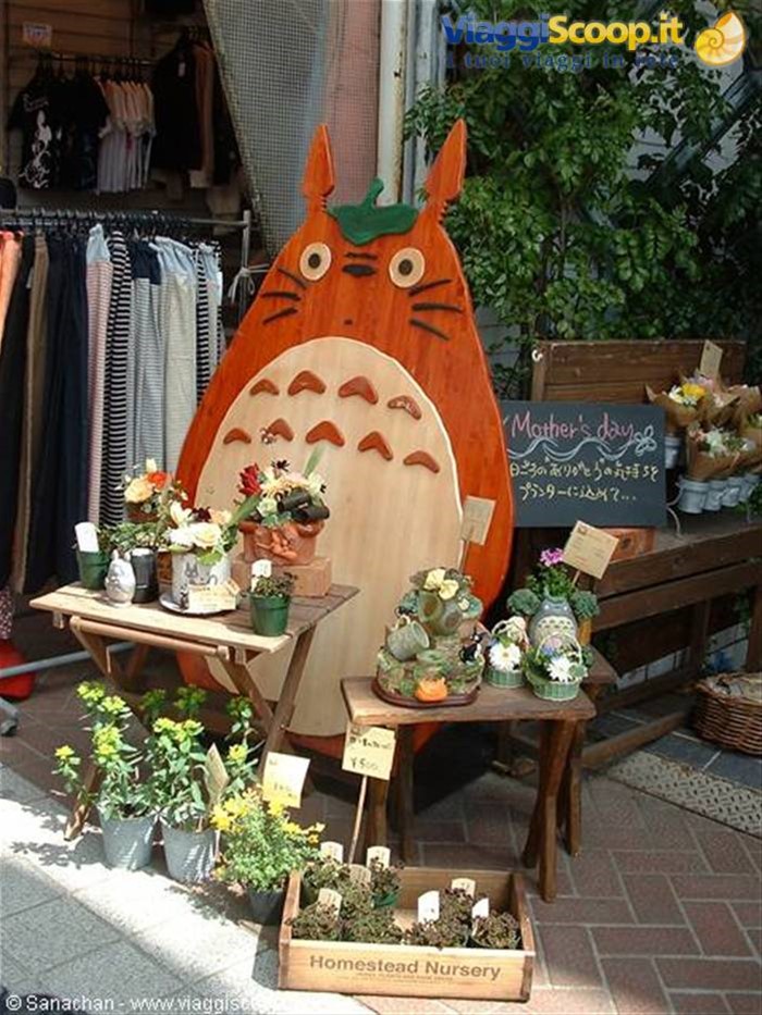 incontrare Totoro per le strade di Kamakura...