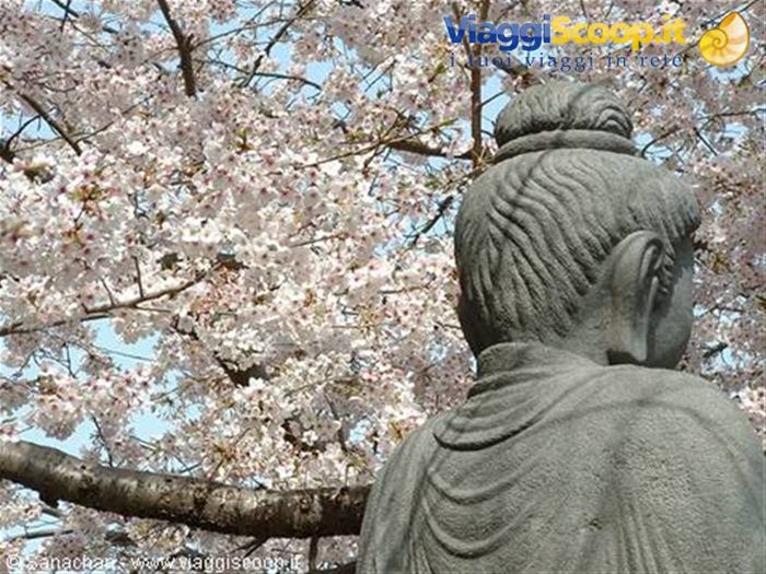 giardino hase kannon