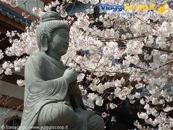 giardino hase kannon