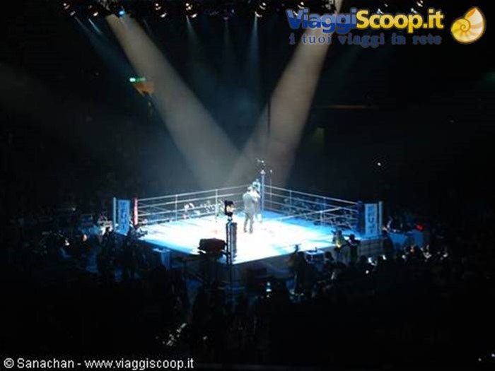 il ring