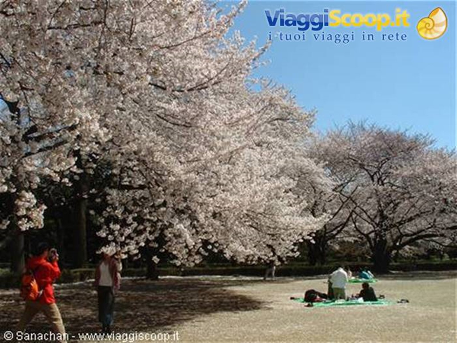 shinjuku gyoen