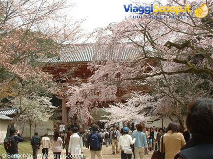 arrivo al Daigo-ji
