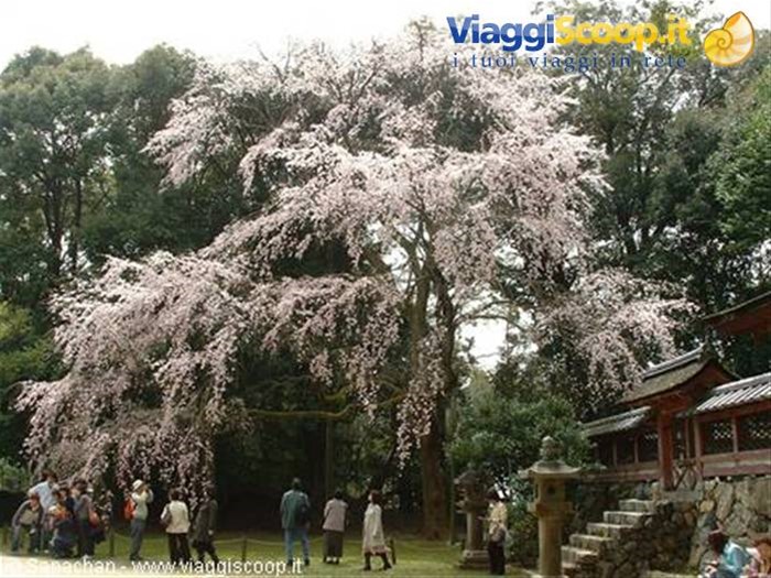 daigo-ji