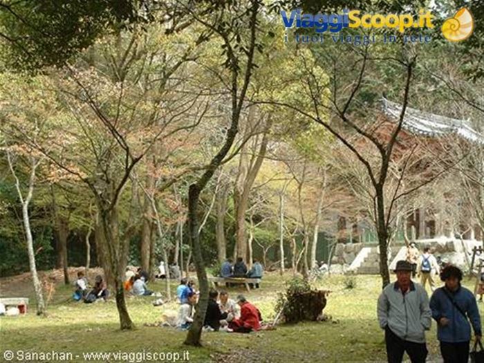 come si fa a non "picnicare" in posti come questi?