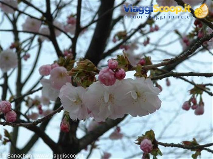 filosofeggiando...
