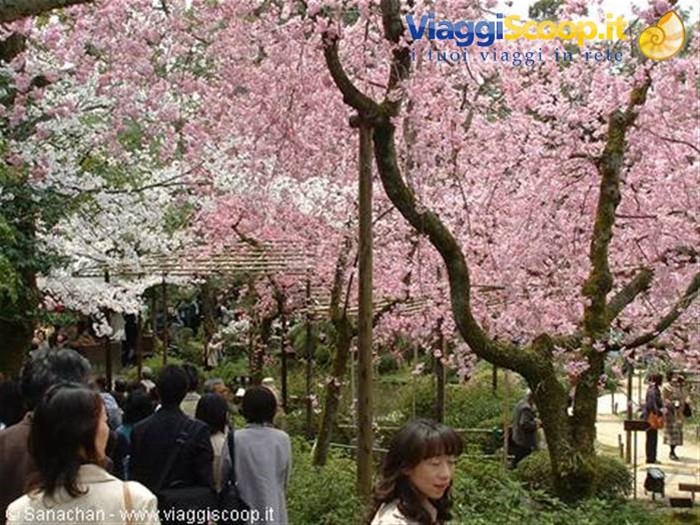 giardini heian shrine