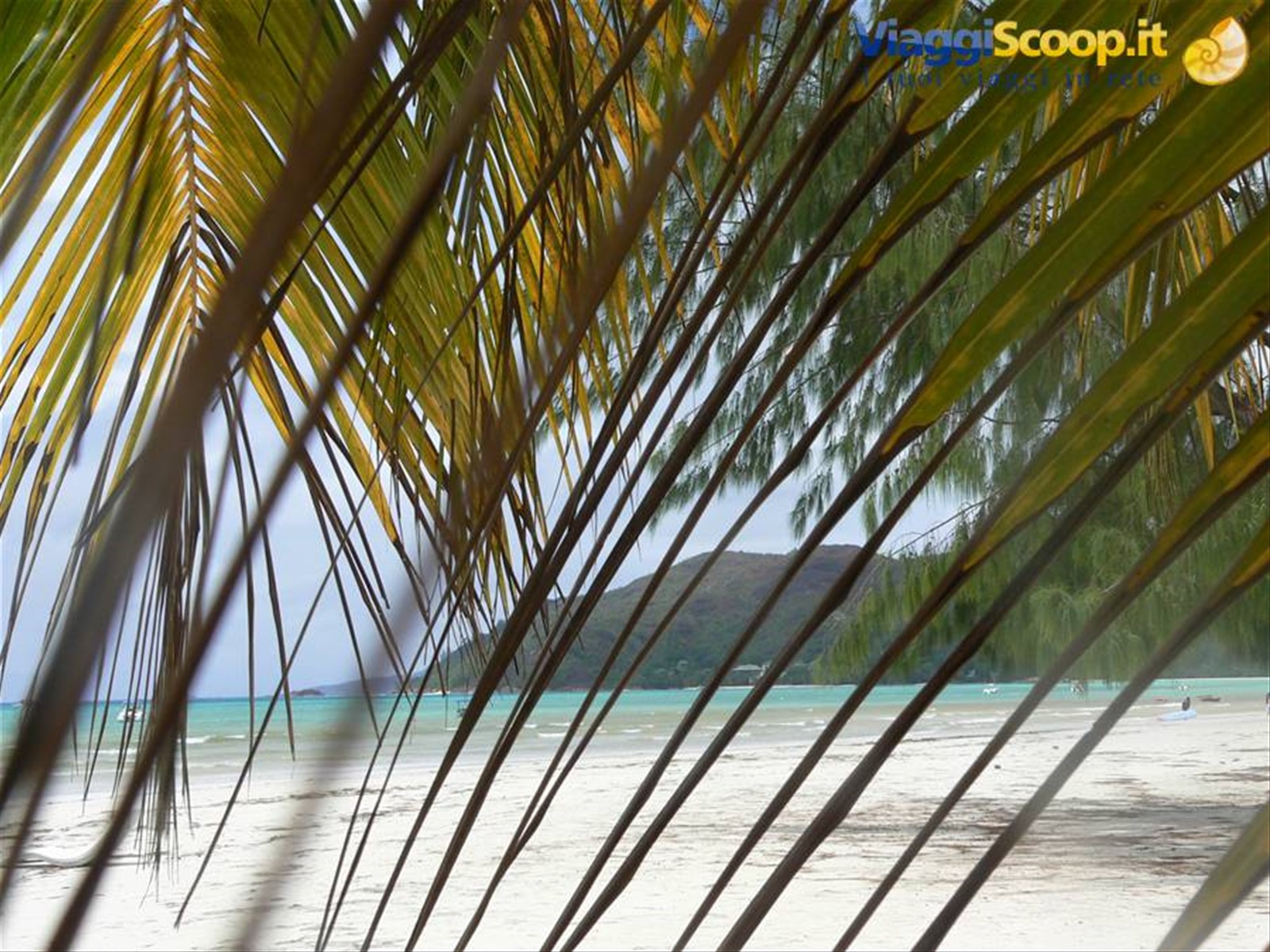 Foto di viaggio in SEYCHELLES