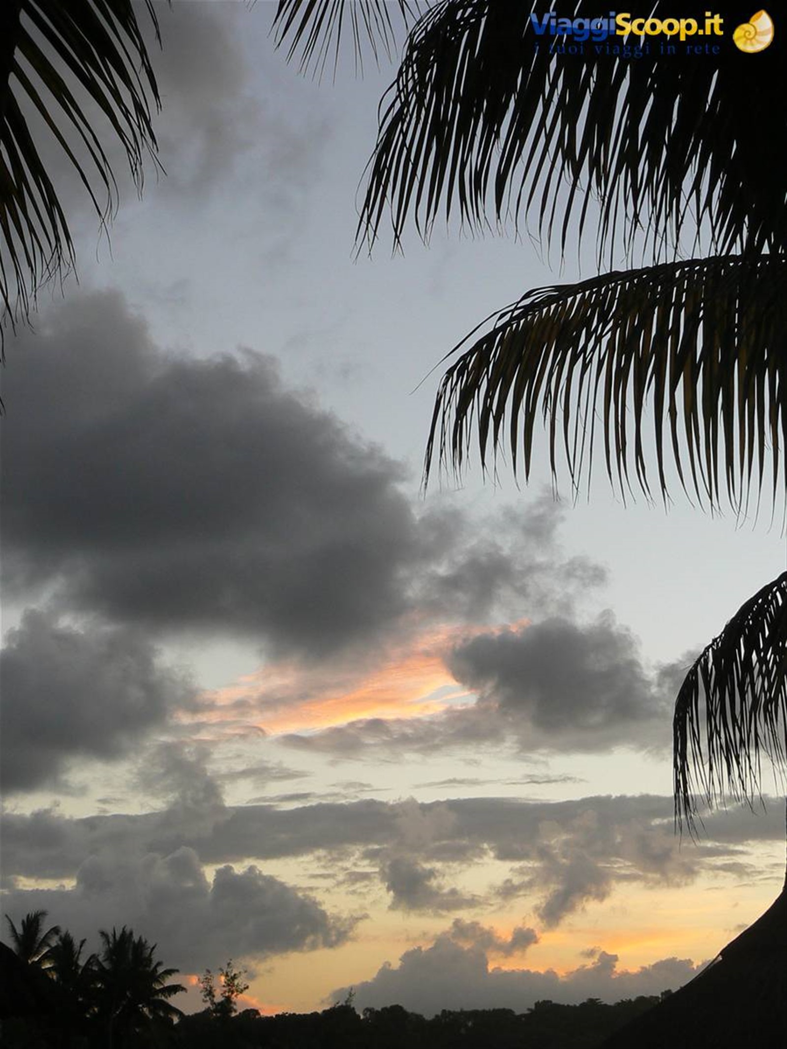 Foto di viaggio in SEYCHELLES