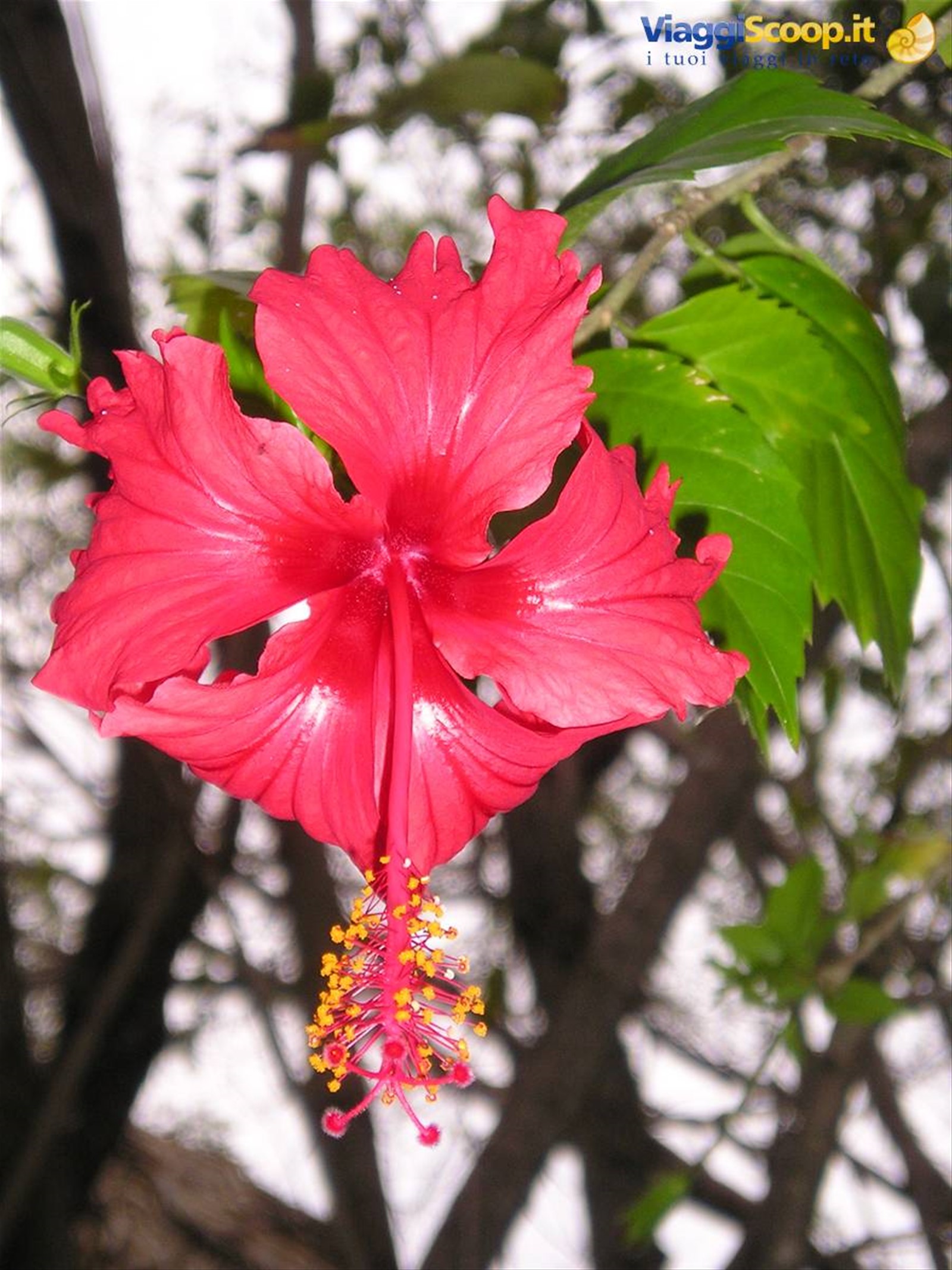 Foto di viaggio in MESSICO