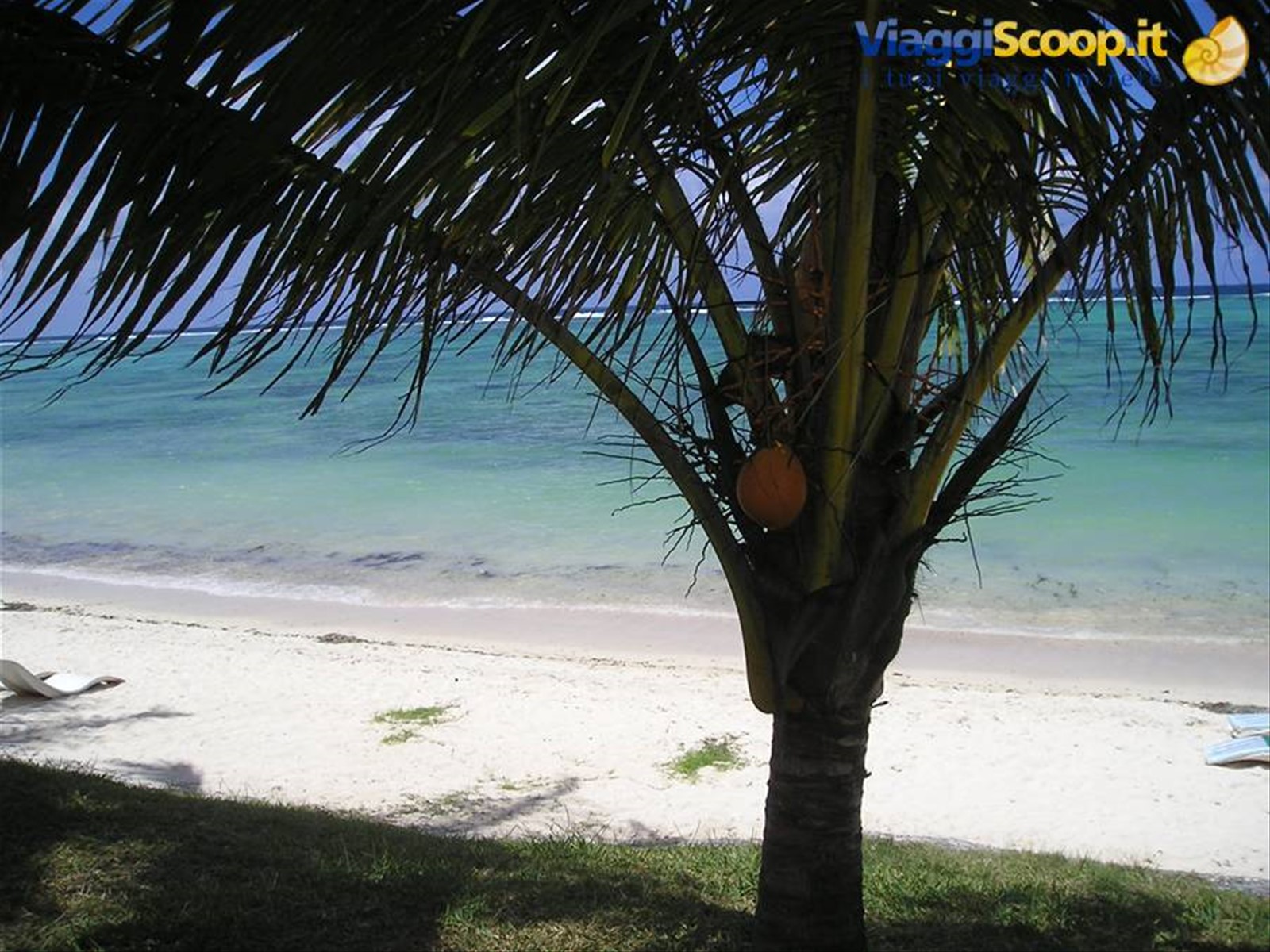 Foto di viaggio in MAURITIUS