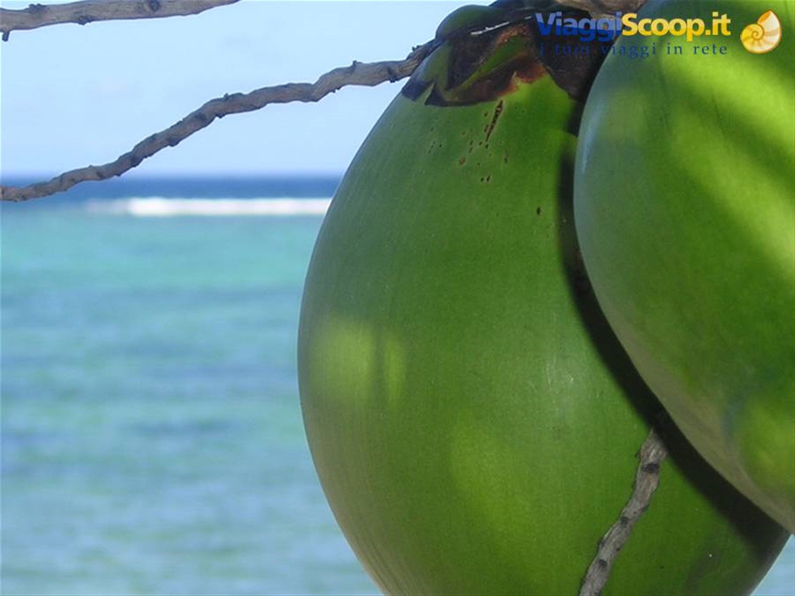 Foto di viaggio in MAURITIUS