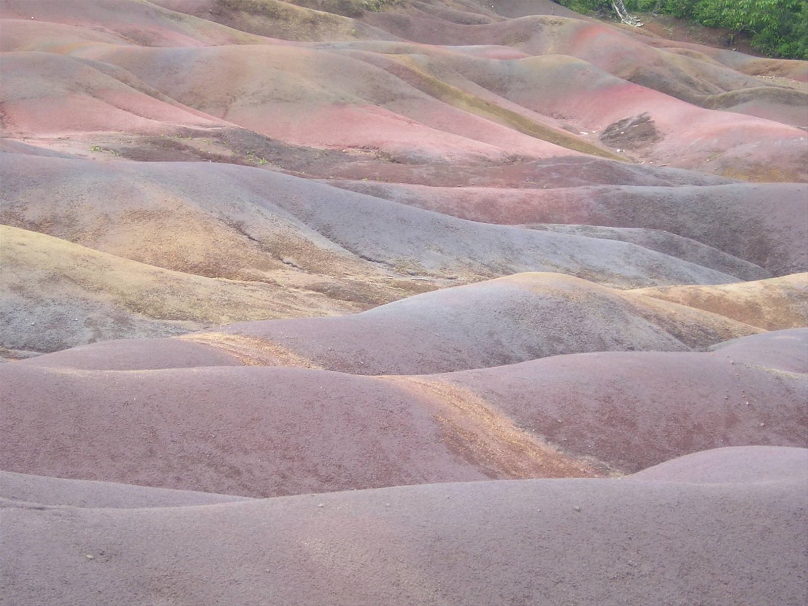 terre di chamarel