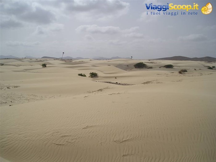 DESERTO