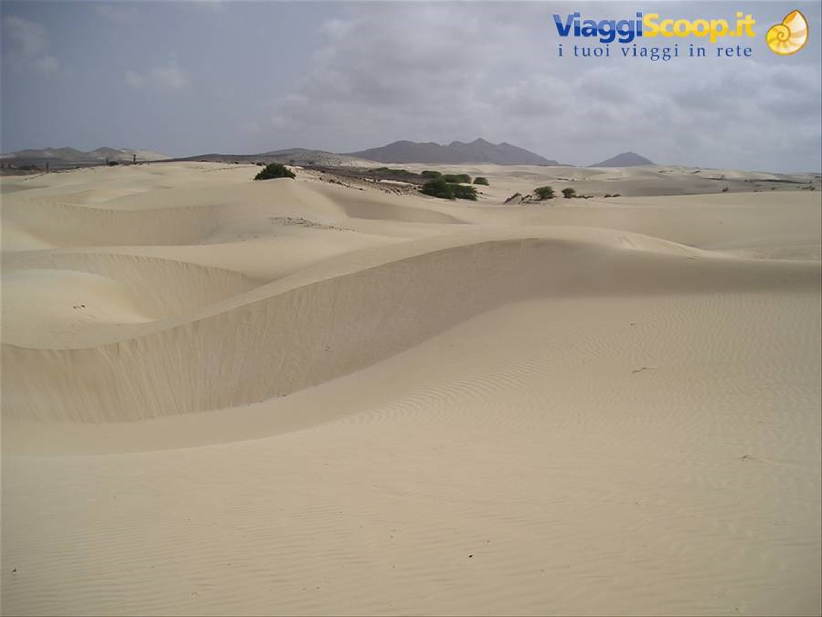 DESERTO