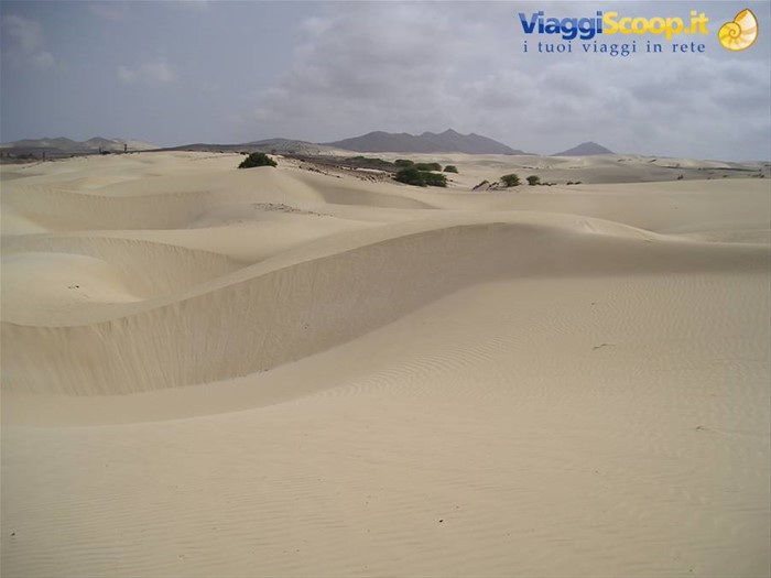 DESERTO
