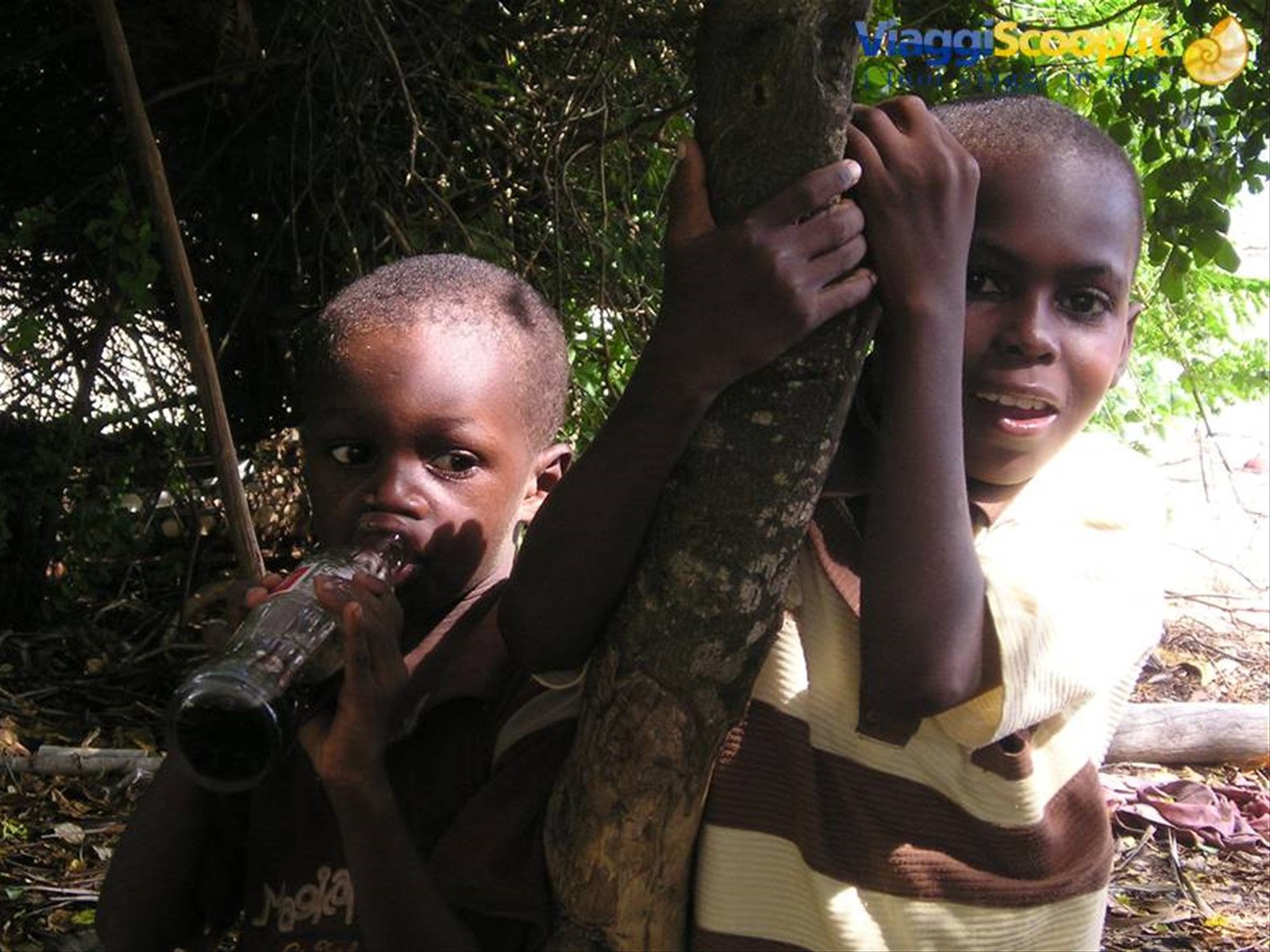 Foto di viaggio in TANZANIA