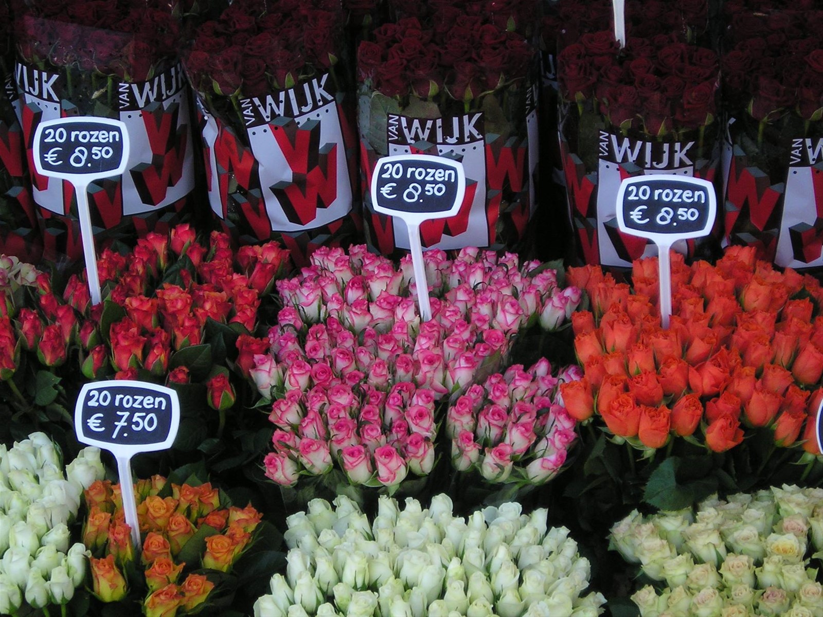 Foto di viaggio in OLANDA