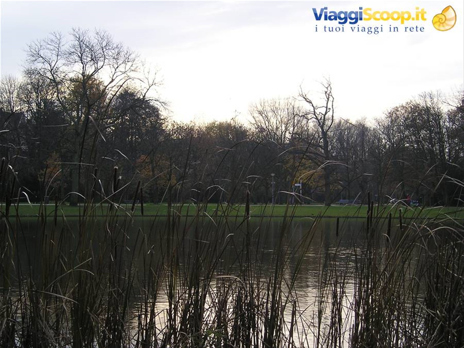 Foto di viaggio in OLANDA