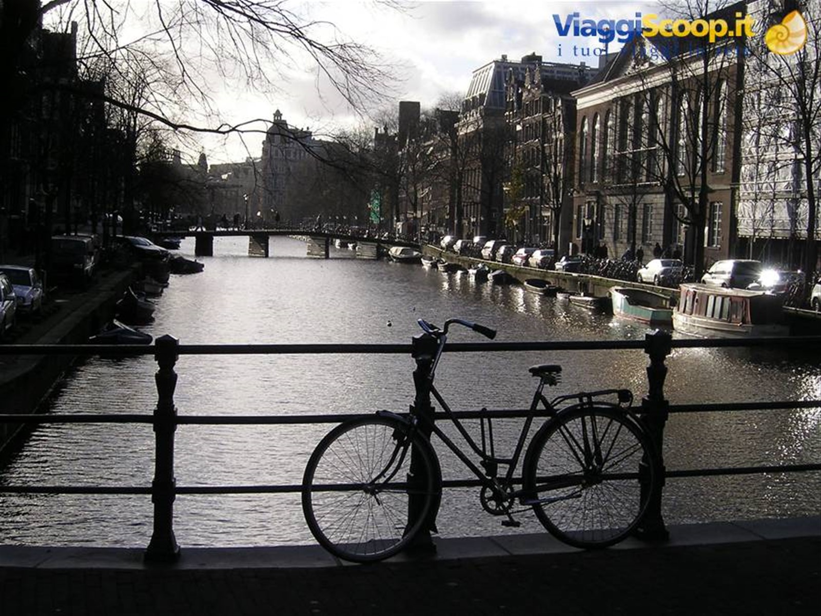 Foto di viaggio in OLANDA