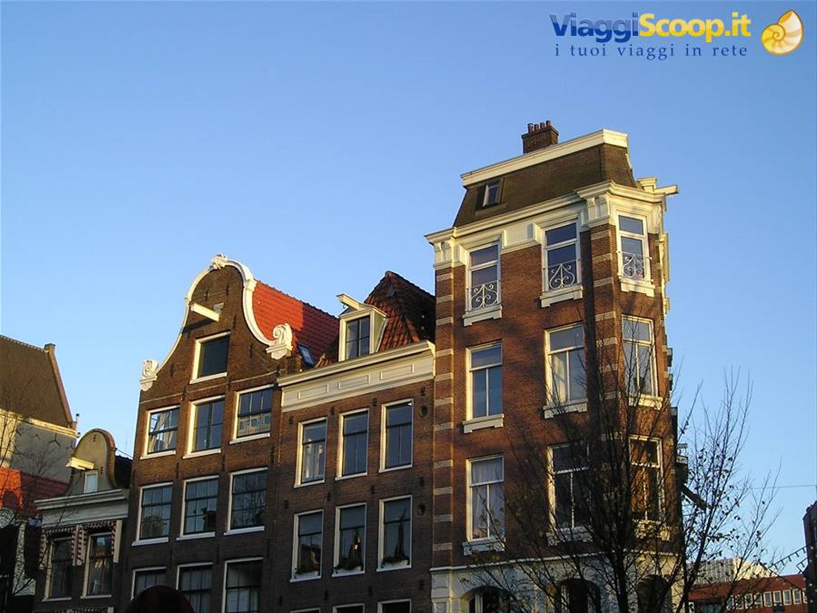 Foto di viaggio in OLANDA