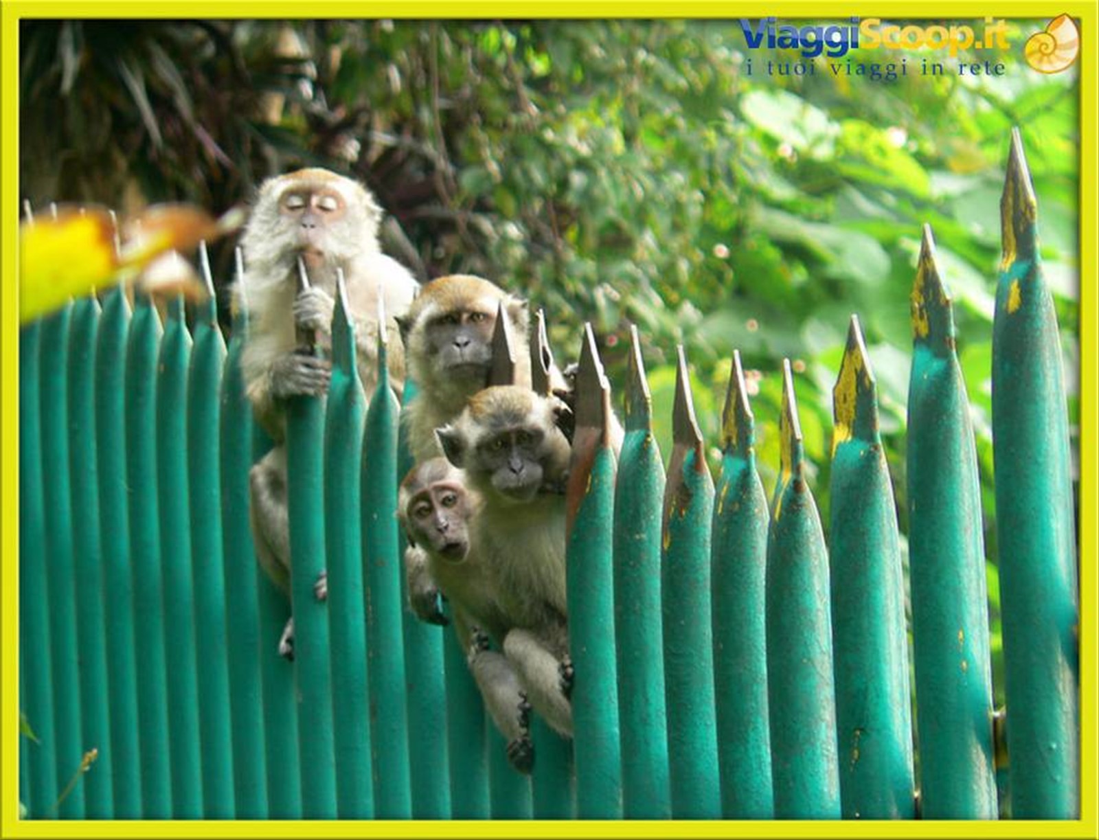 Foto di viaggio in MALESIA