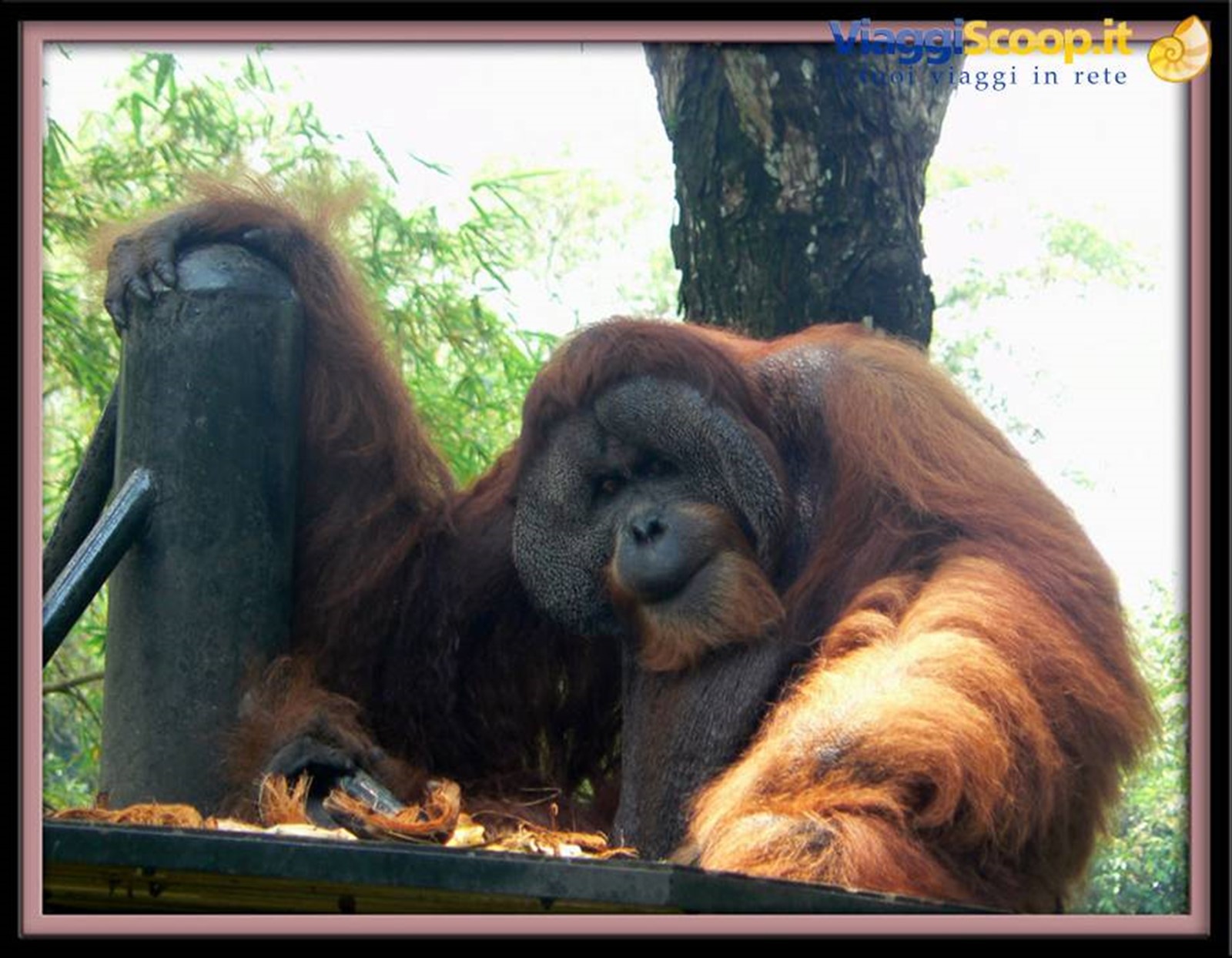 Foto di viaggio in MALESIA