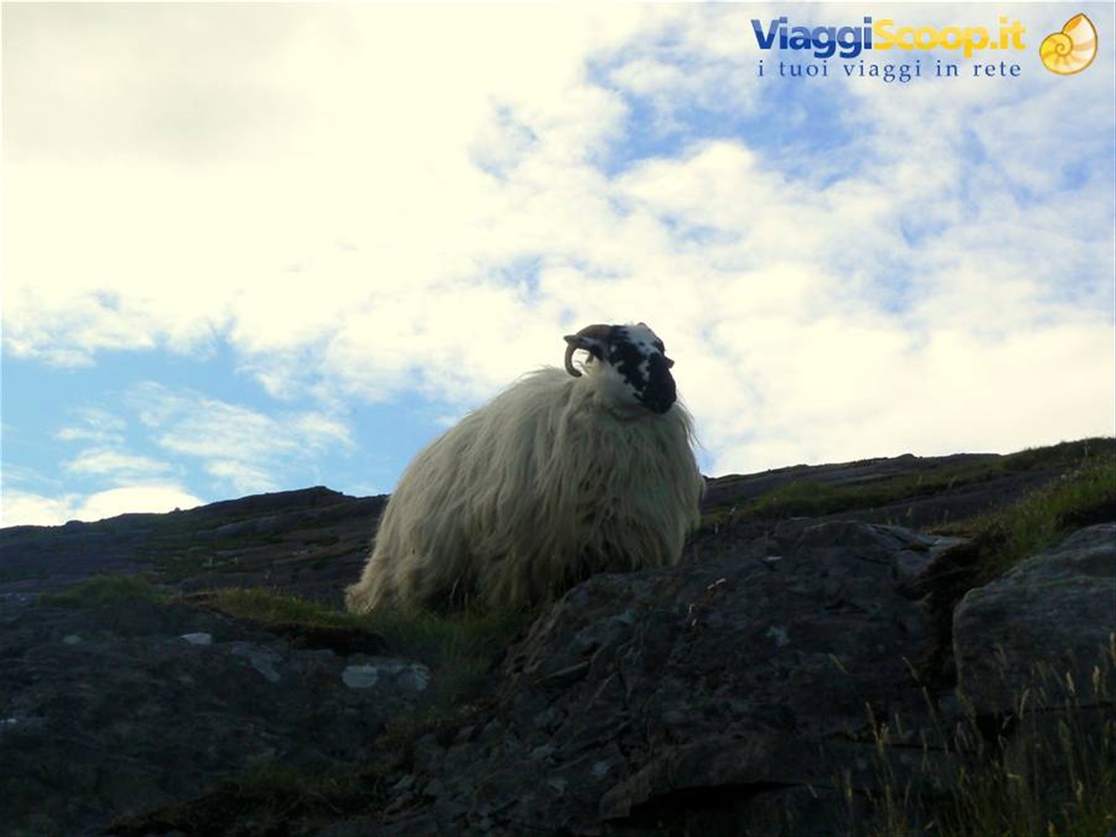 Foto di viaggio in IRLANDA