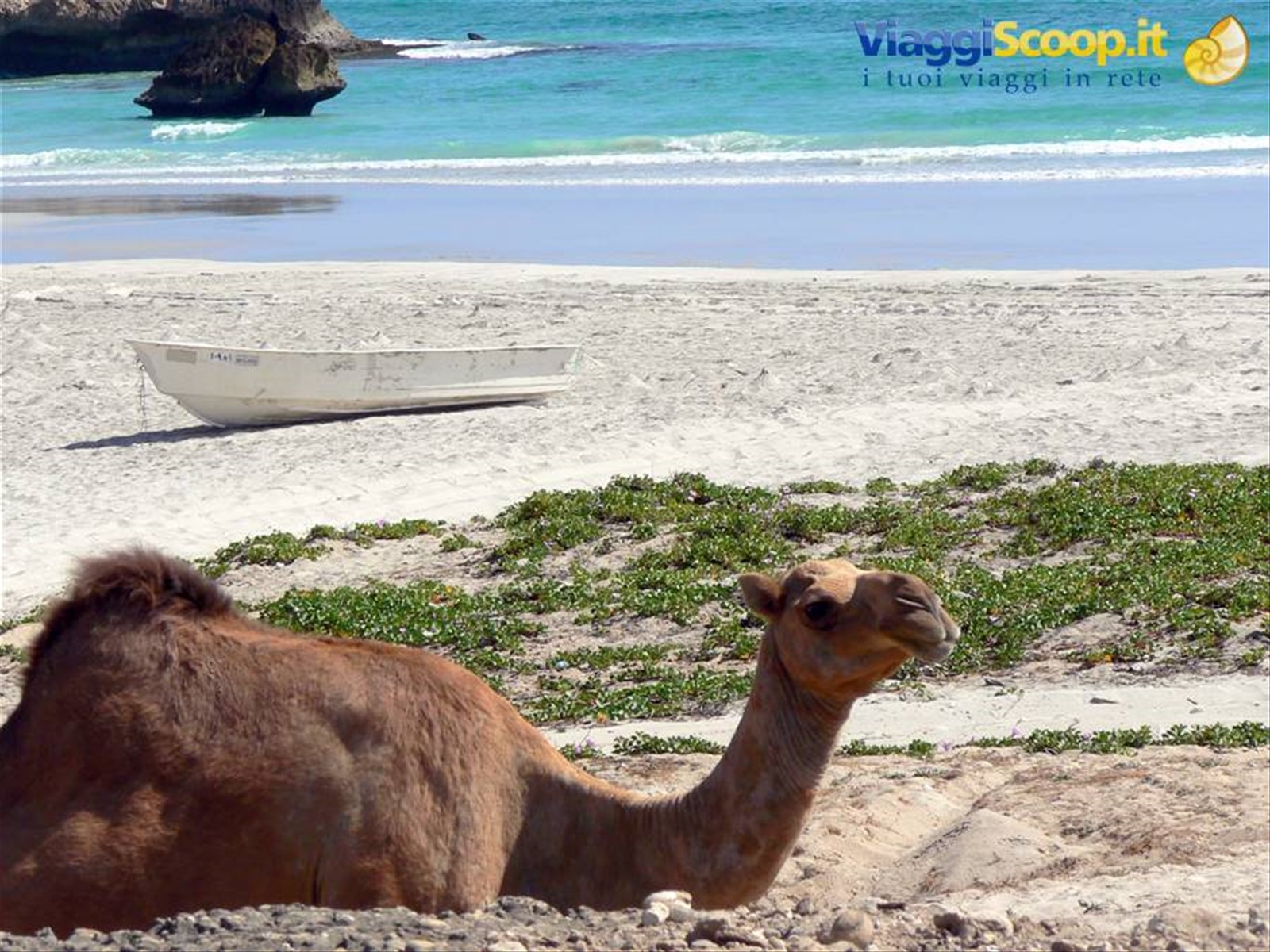 Foto di viaggio in OMAN