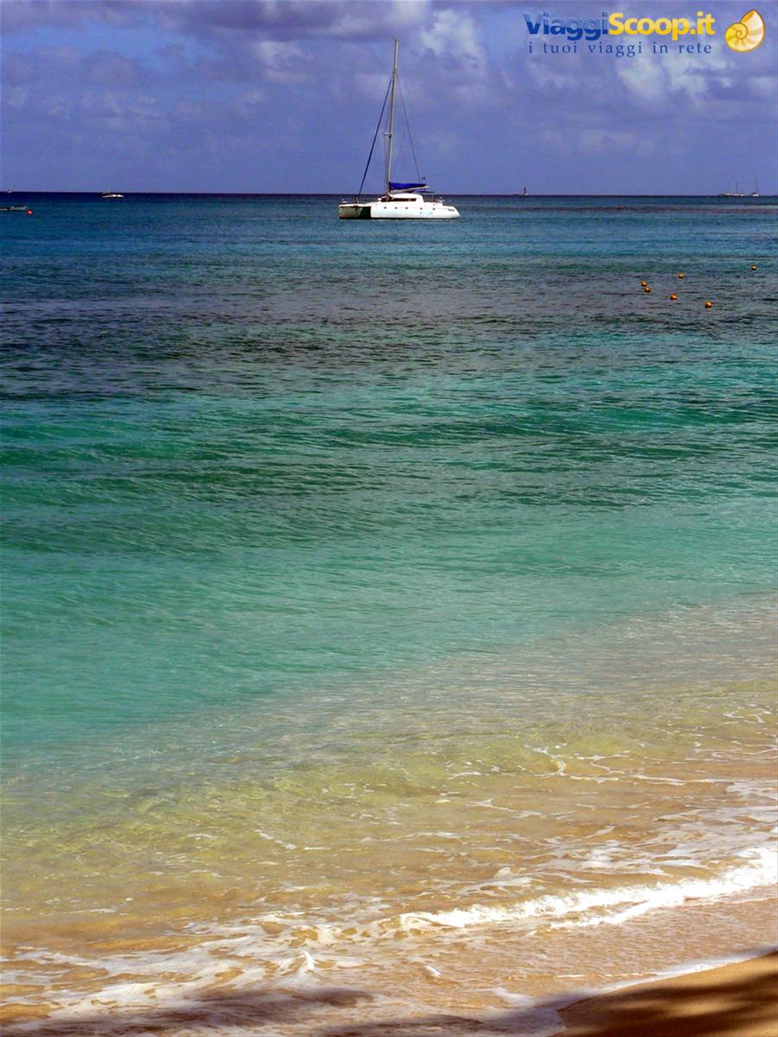 WE LOVE BARBADOS...