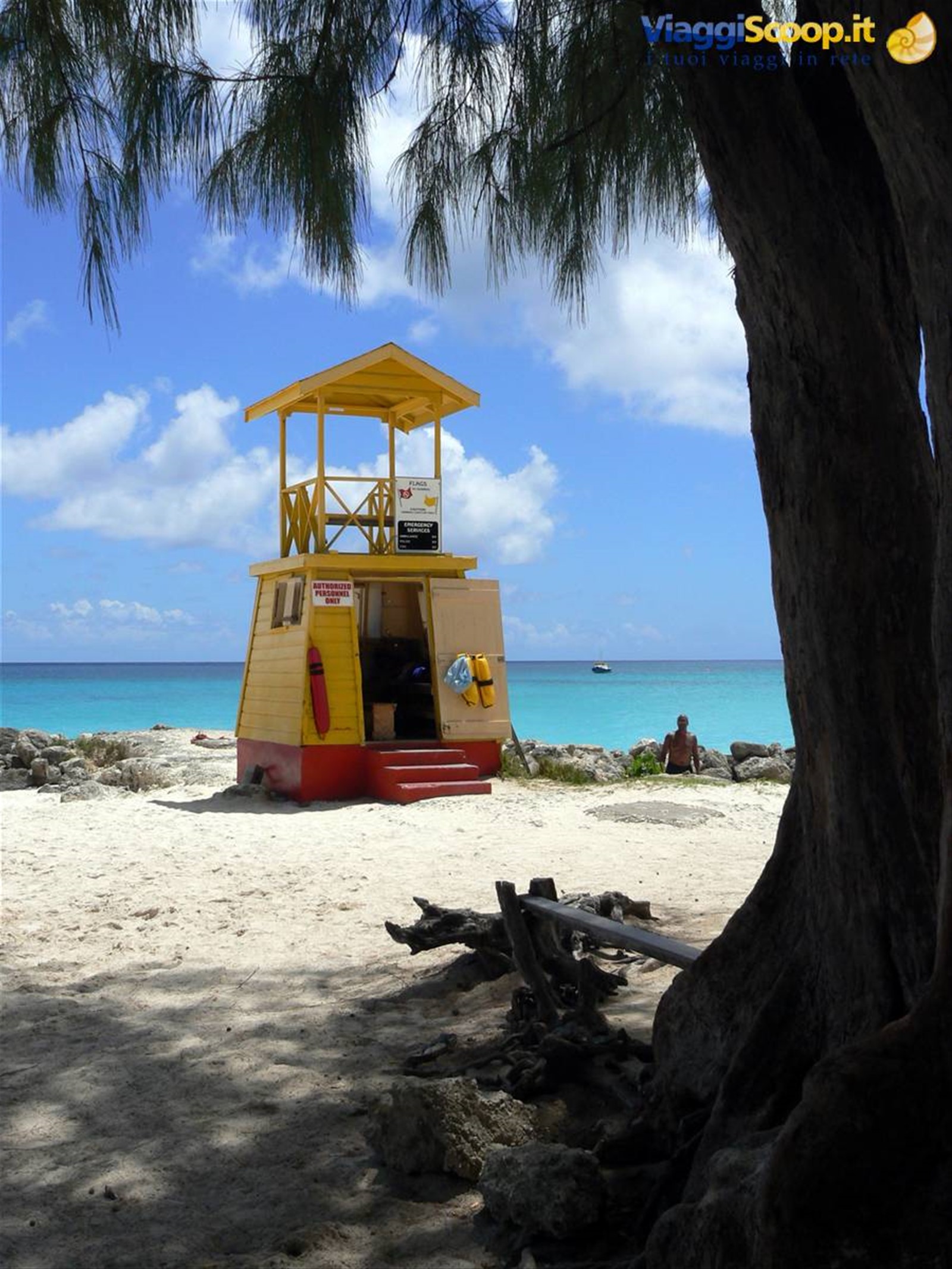 Foto di viaggio in BARBADOS