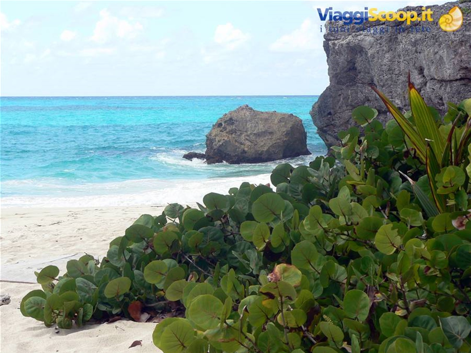 Foto di viaggio in BARBADOS