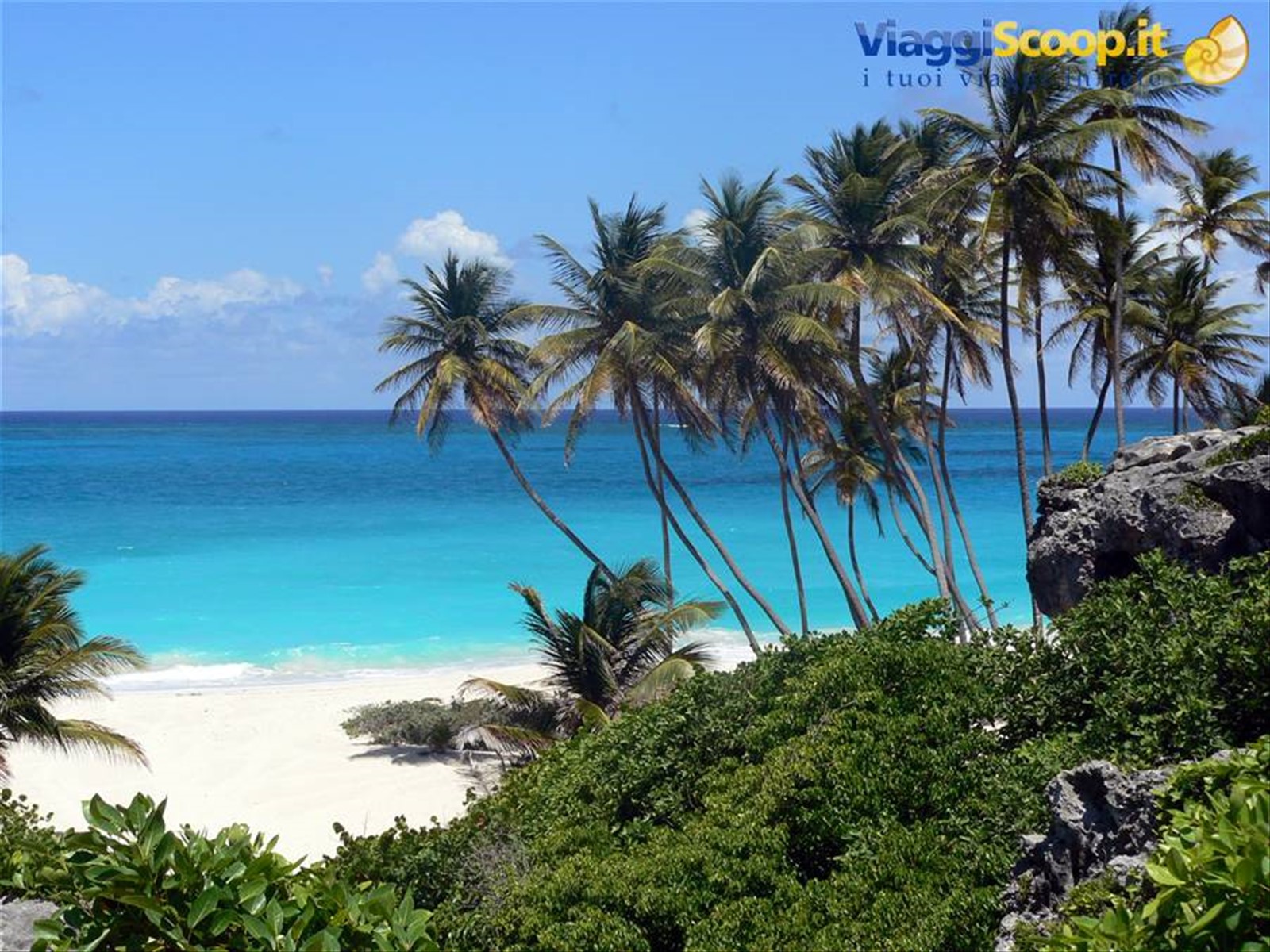 Foto di viaggio in BARBADOS