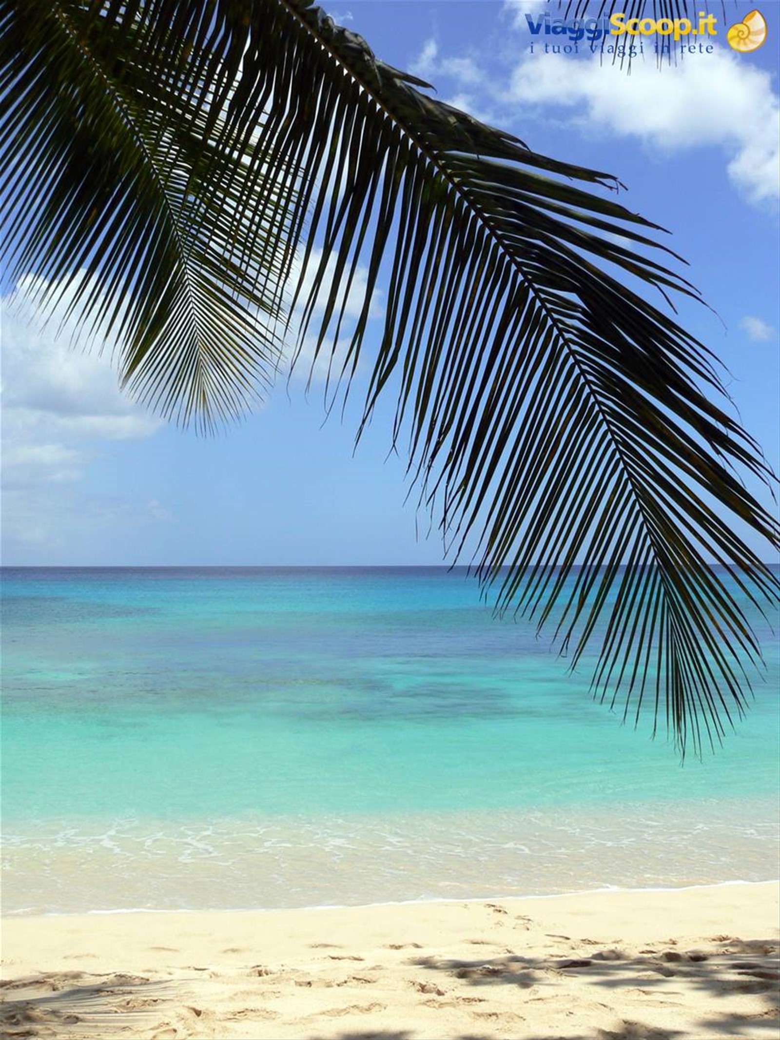 Foto di viaggio in BARBADOS