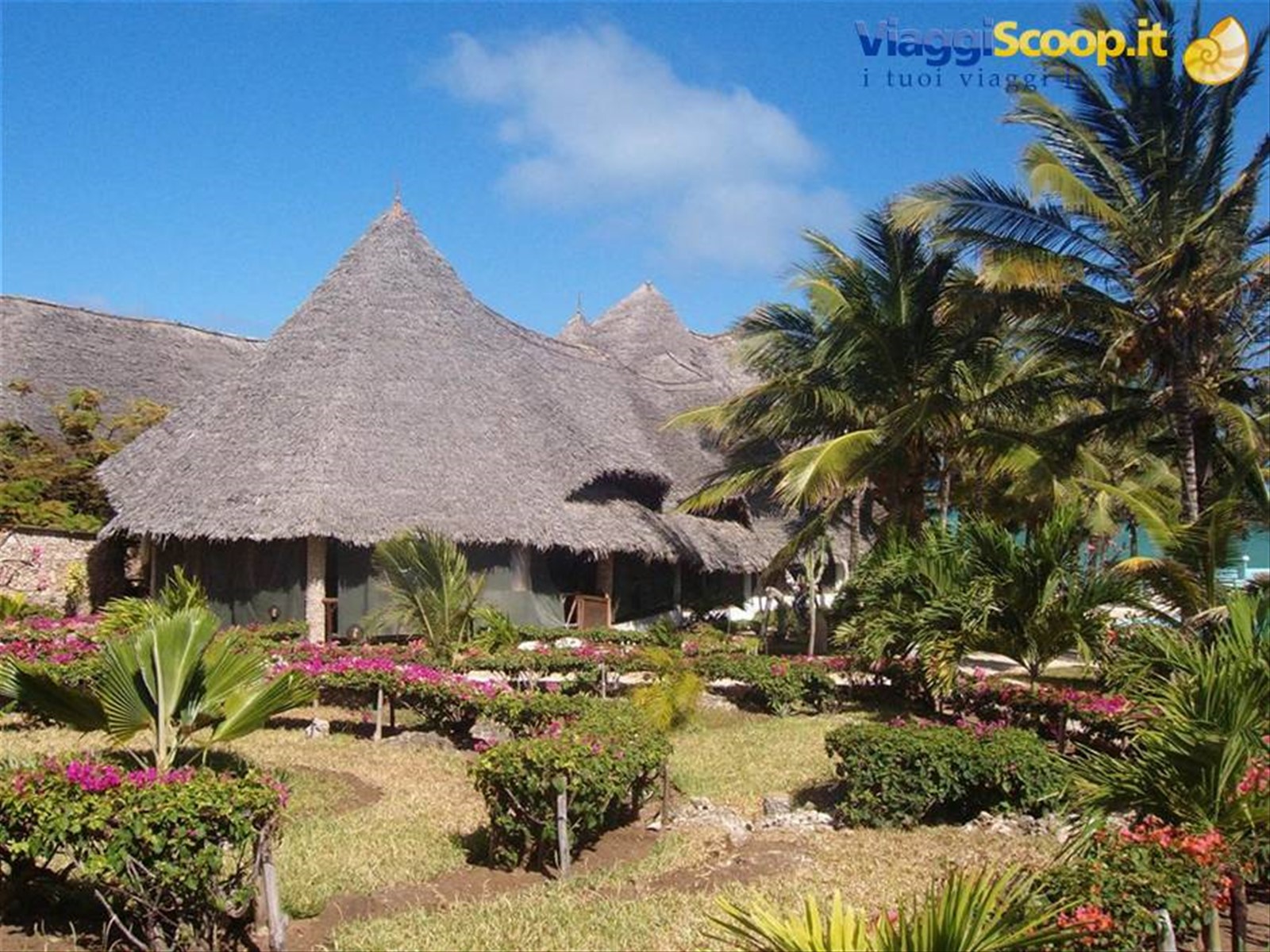 Jacaranda beach resort