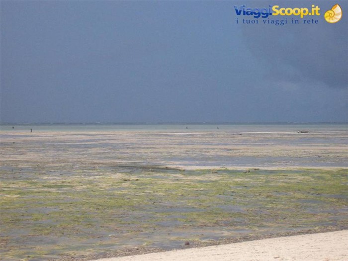 Spiaggia Jacaranda bassa marea