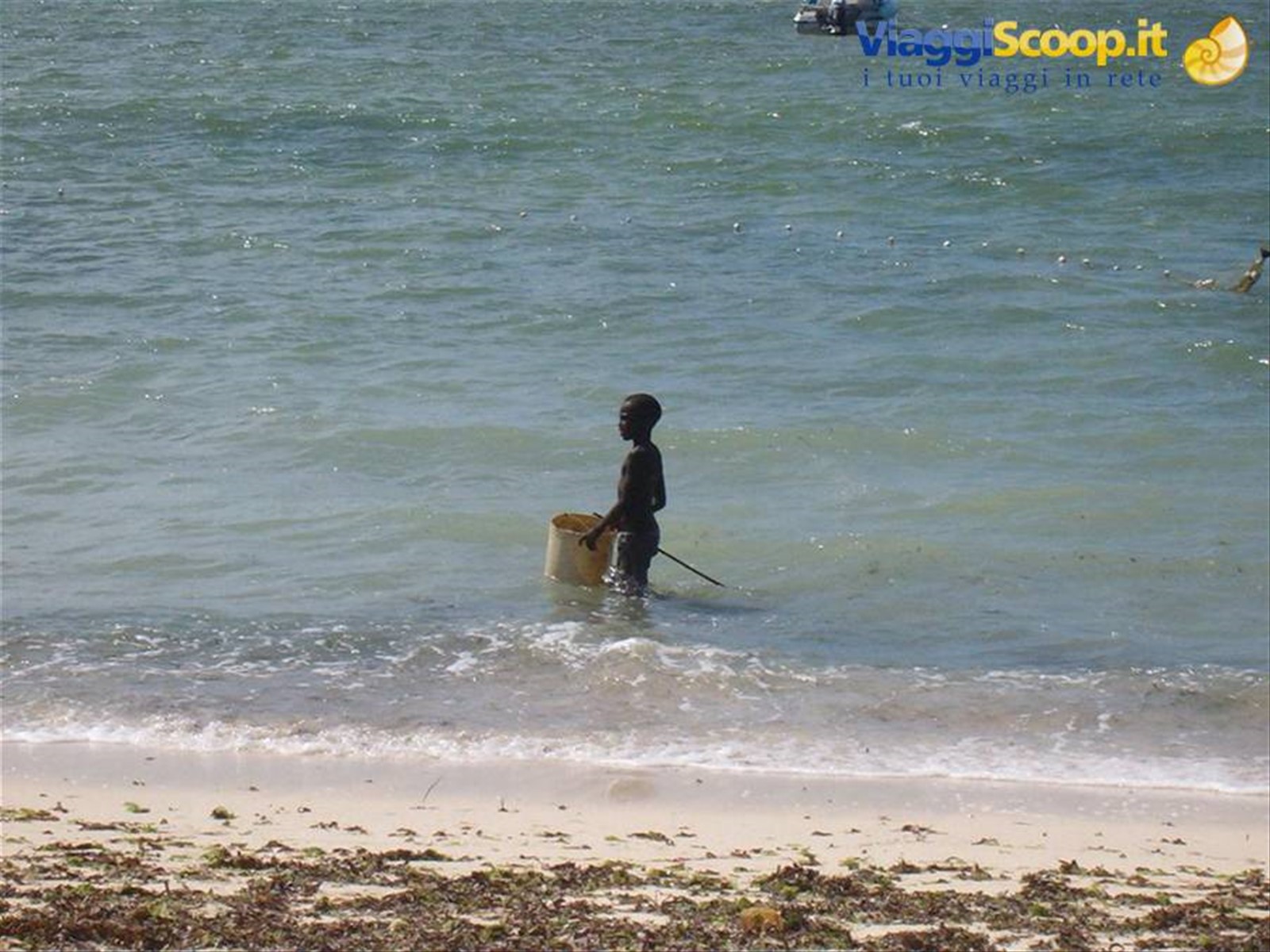 Piccolo pescatore sulla spiaggia del Jacaranda