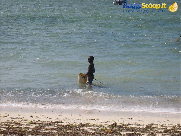Piccolo pescatore sulla spiaggia del Jacaranda