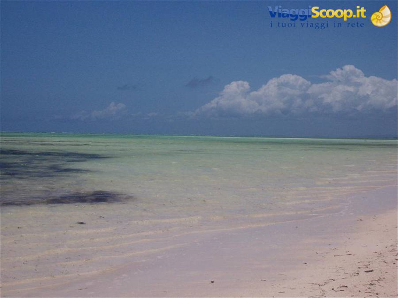 Kenya - Jacaranda Beach
