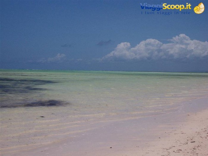 Kenya - Jacaranda Beach