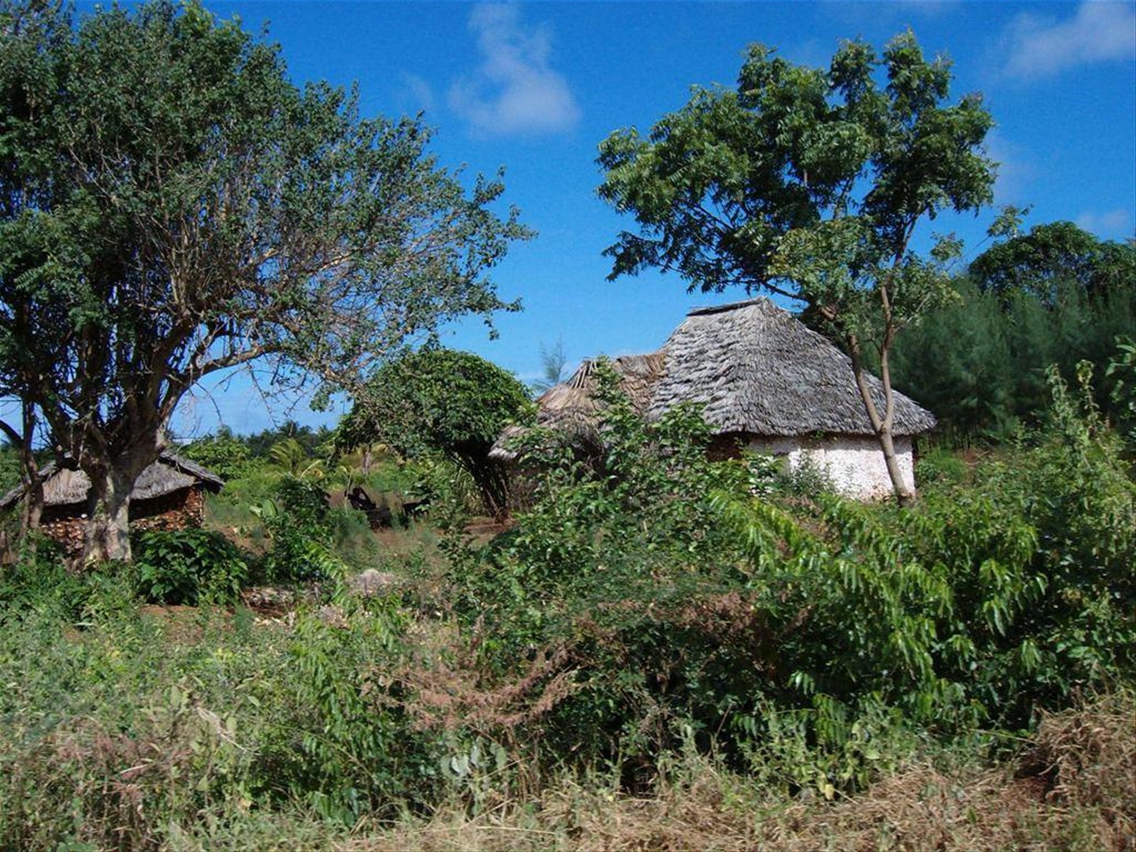 Kenya - Villaggio