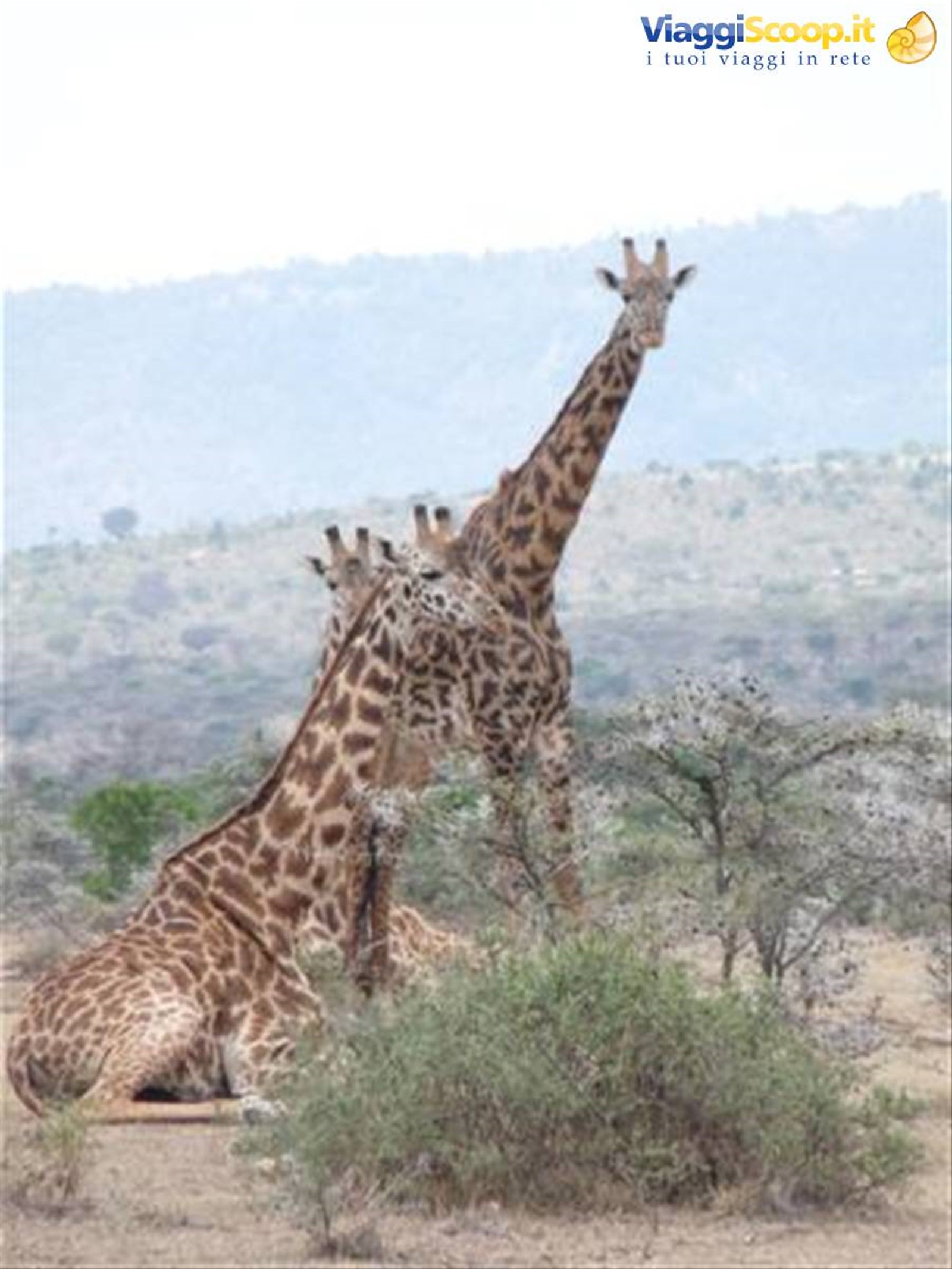 Foto di viaggio in KENYA
